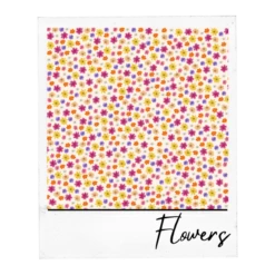 Era's Adhesive Collection -EXPRESSIONS VINYL Sales 3 82162.1703719223