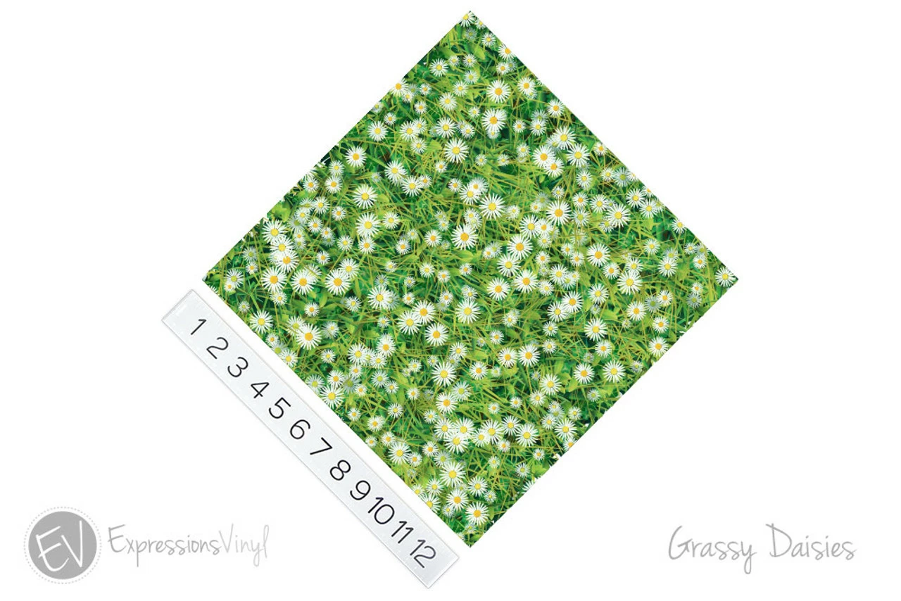 12"x12" Patterned Heat Transfer Vinyl - Grassy Daisies 4 12"x12" Patterned Heat Transfer Vinyl - Grassy Daisies - Image 2