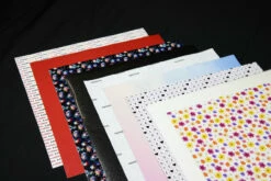 Era's Adhesive Collection -EXPRESSIONS VINYL Sales IMG 7589 min 51637.1703719223