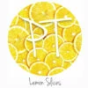 12"x12" Patterned Heat Transfer Vinyl - Lemon Slices -EXPRESSIONS VINYL Sales Lemon Slices 79274.1650908425