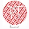 12"x12" Patterned Heat Transfer Vinyl - Peppermint