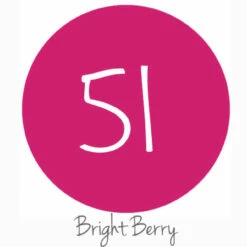 Girls Pack - Series 51 Permanent Vinyl -EXPRESSIONS VINYL Sales S51BrightBerry 40730.1505160361