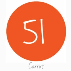 Rainbow Pack - Series 51 Permanent Vinyl -EXPRESSIONS VINYL Sales S51Carrot 47115.1505160801
