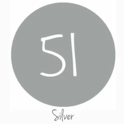 Christmas Pack - Series 51 Permanent Vinyl -EXPRESSIONS VINYL Sales S51Silver 59143.1505161284